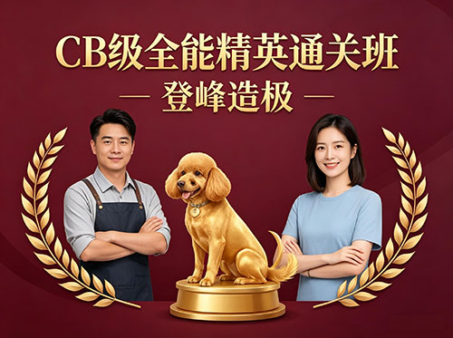 CB级全能精英通关班