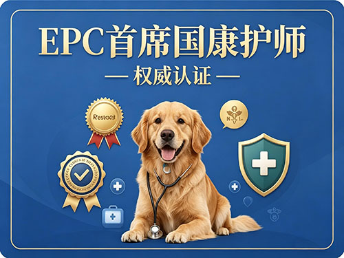 EPC首席国康护师