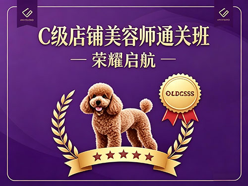 C级店铺美容师通关班