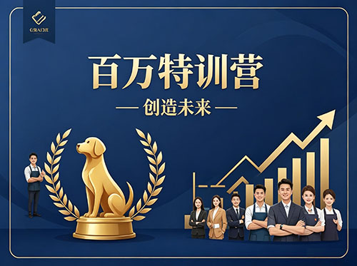 百万特训营