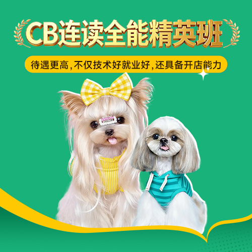 CB连续全能精英班