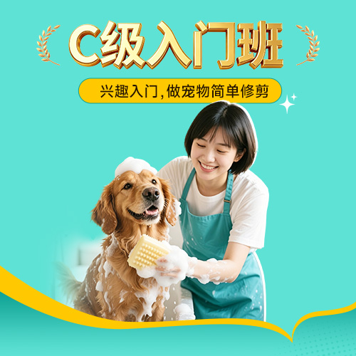 C级入门班