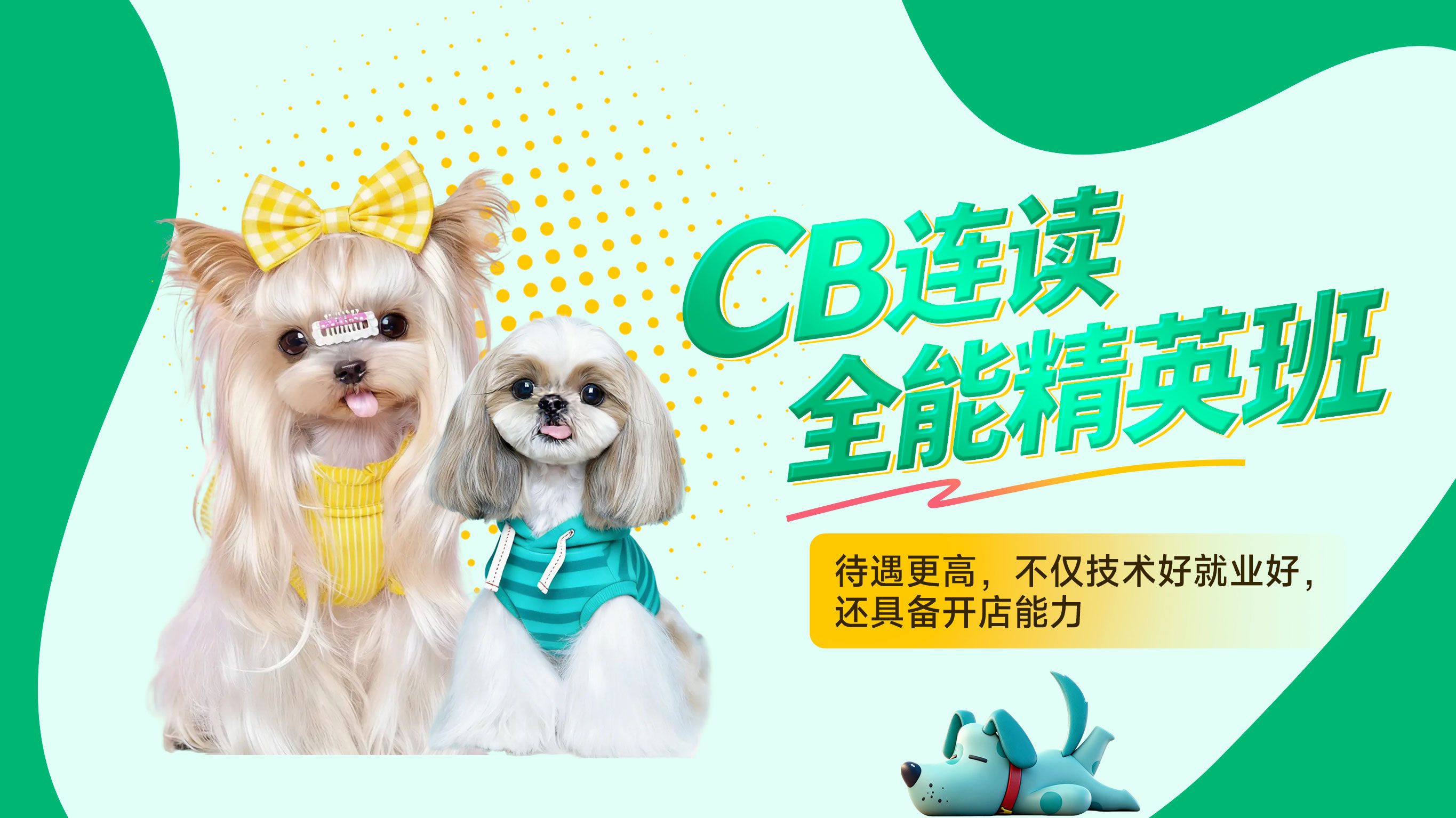 CB连读全能精英班