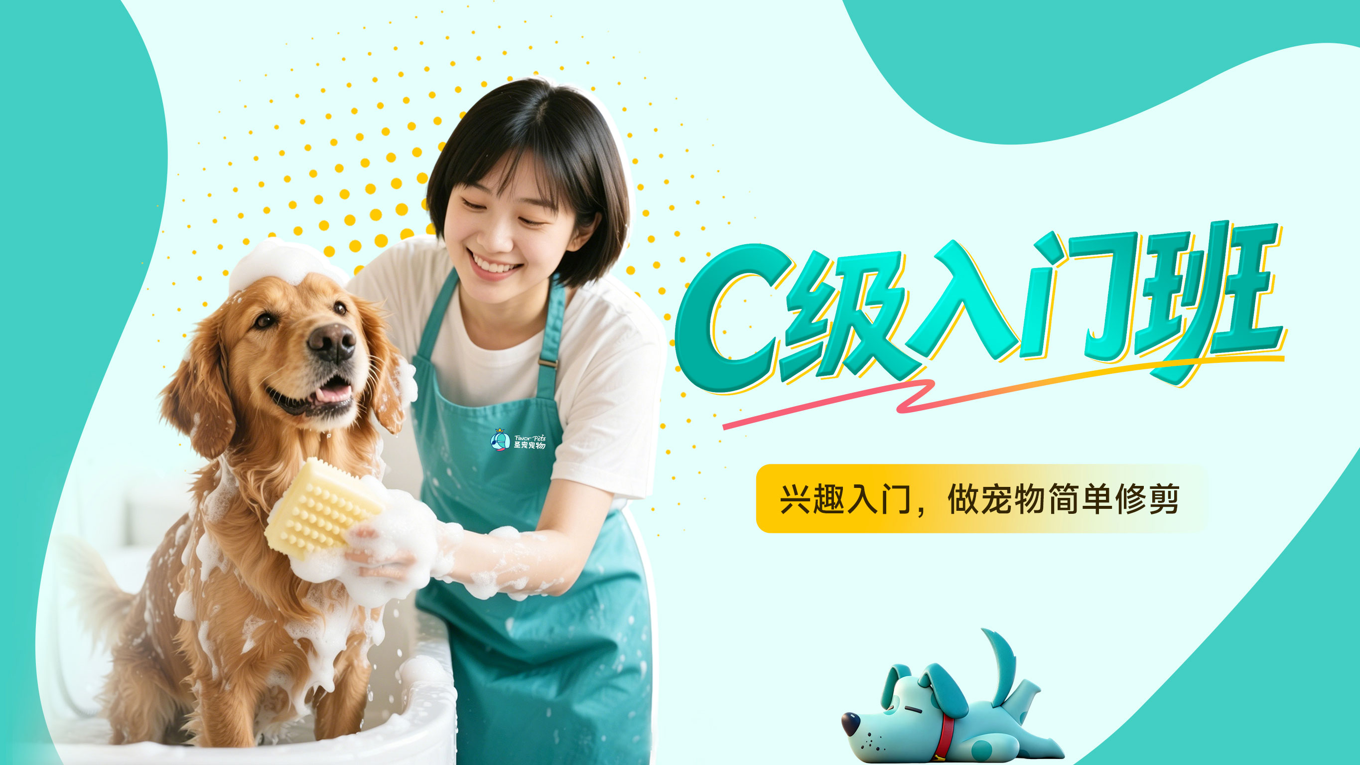 C级入门班