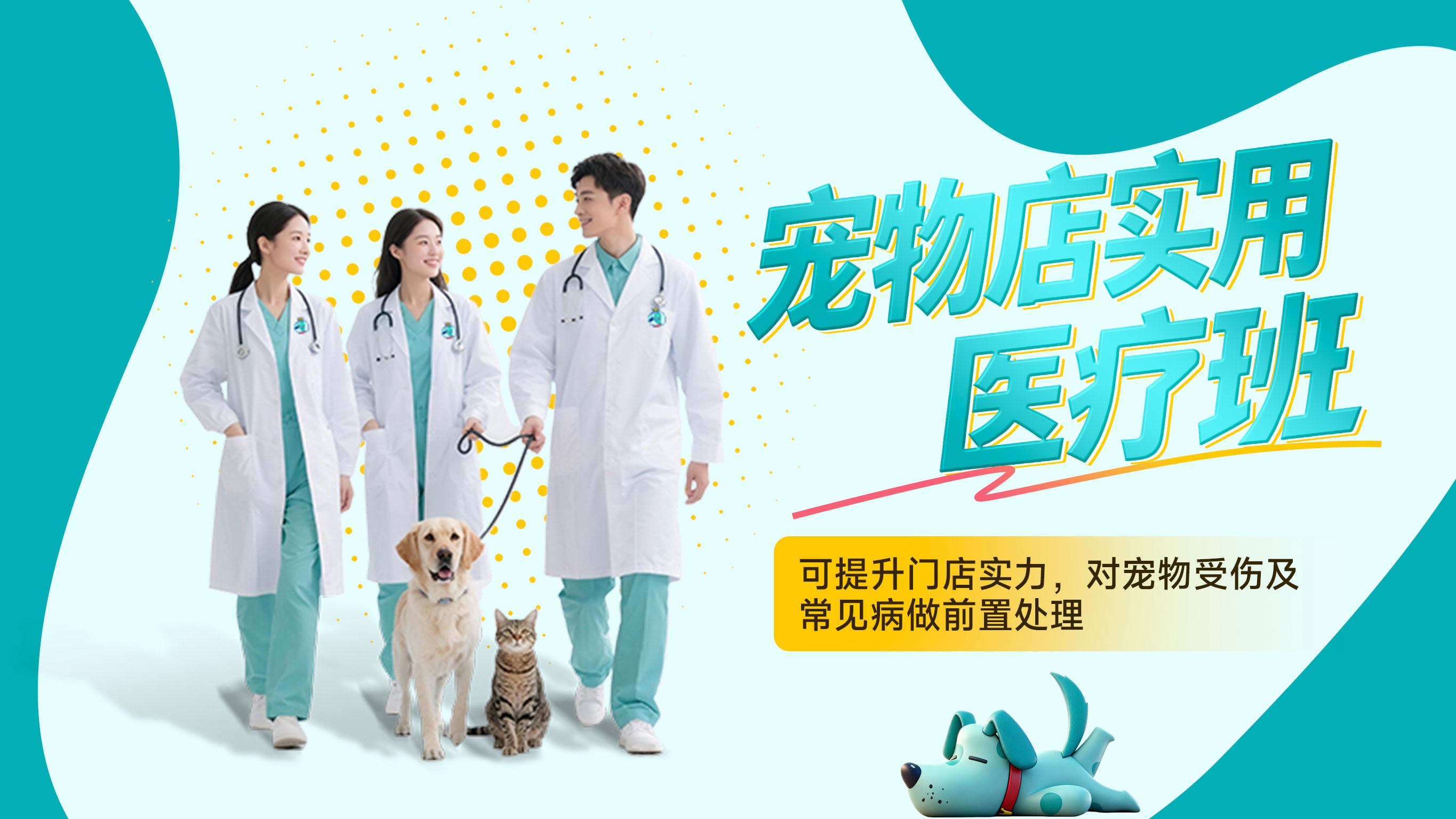 宠物店实用医疗班