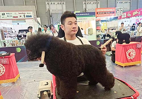 桂东阳