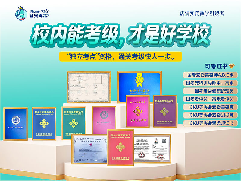 校内能考级,才是好学校