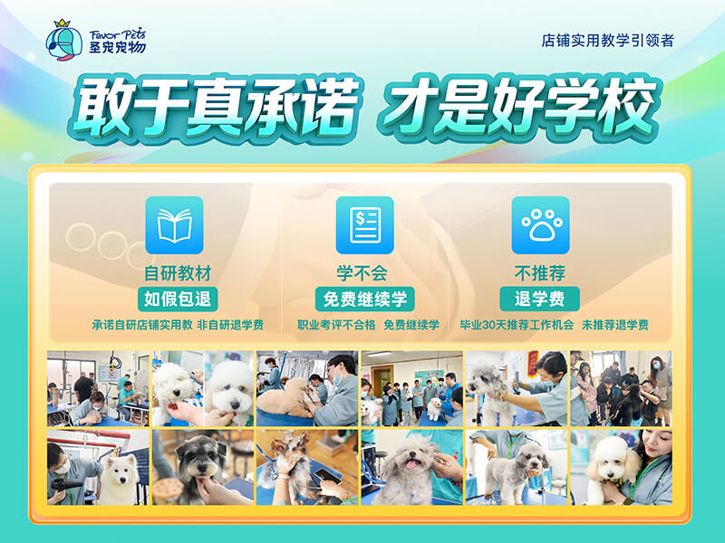 敢于真承诺，才是好学校 