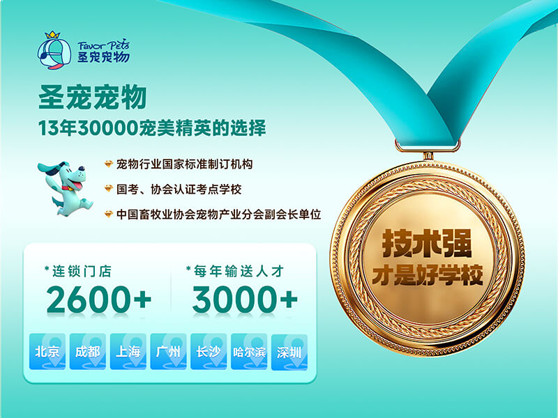13年30000宠美精英的选择