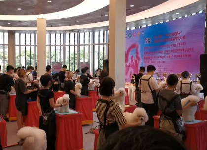 成长瞬间