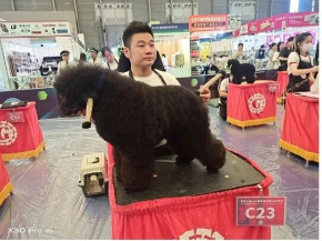 成长瞬间