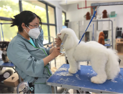 成长瞬间