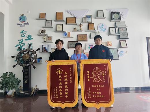 荣誉墙与证书展示区