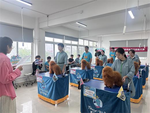 全体学员参与