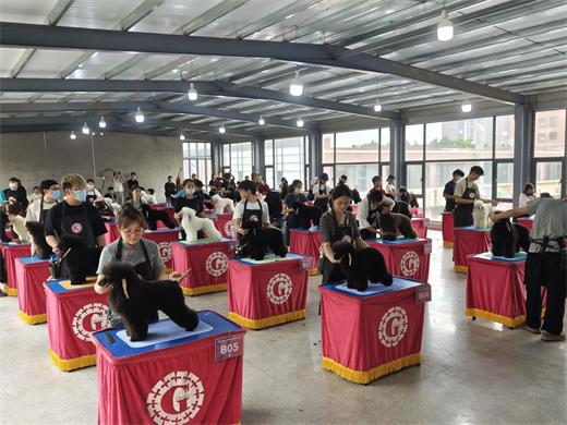 毕业考核实操