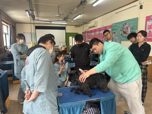 小班精英授课