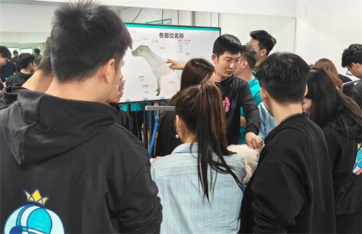 理论与实操并重