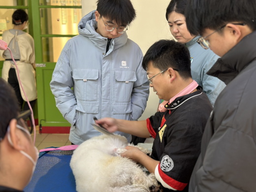 基础美容技能训练
