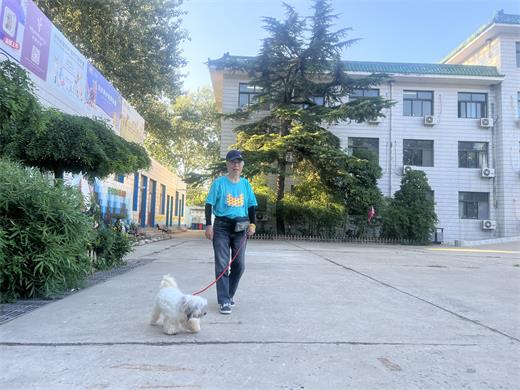 校园绿化走廊