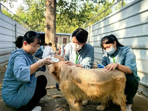 社区公益义务美容活动