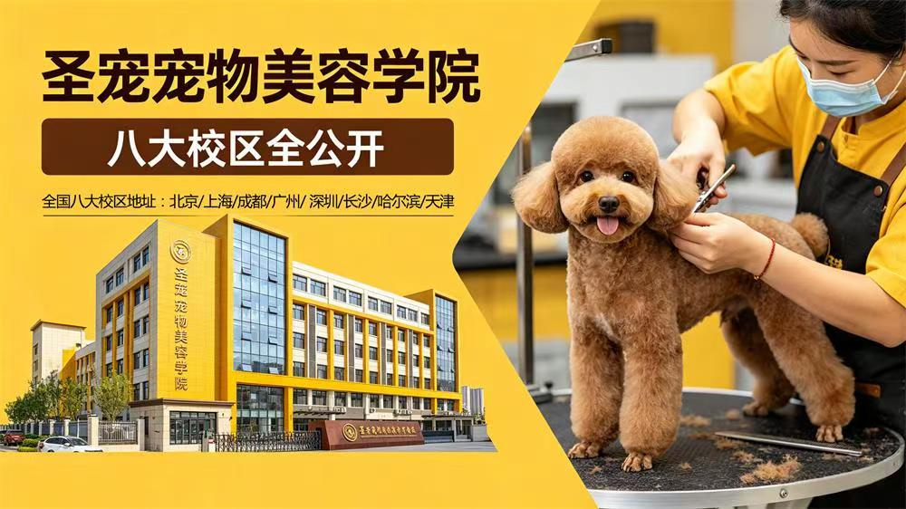 圣宠宠物八大校区全公开丨「美食」+「美景」的治愈系校园