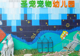 宠物幼儿园