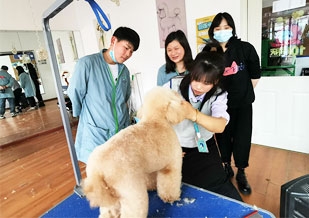 实操示范教学