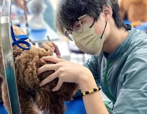 学员真犬实操练习