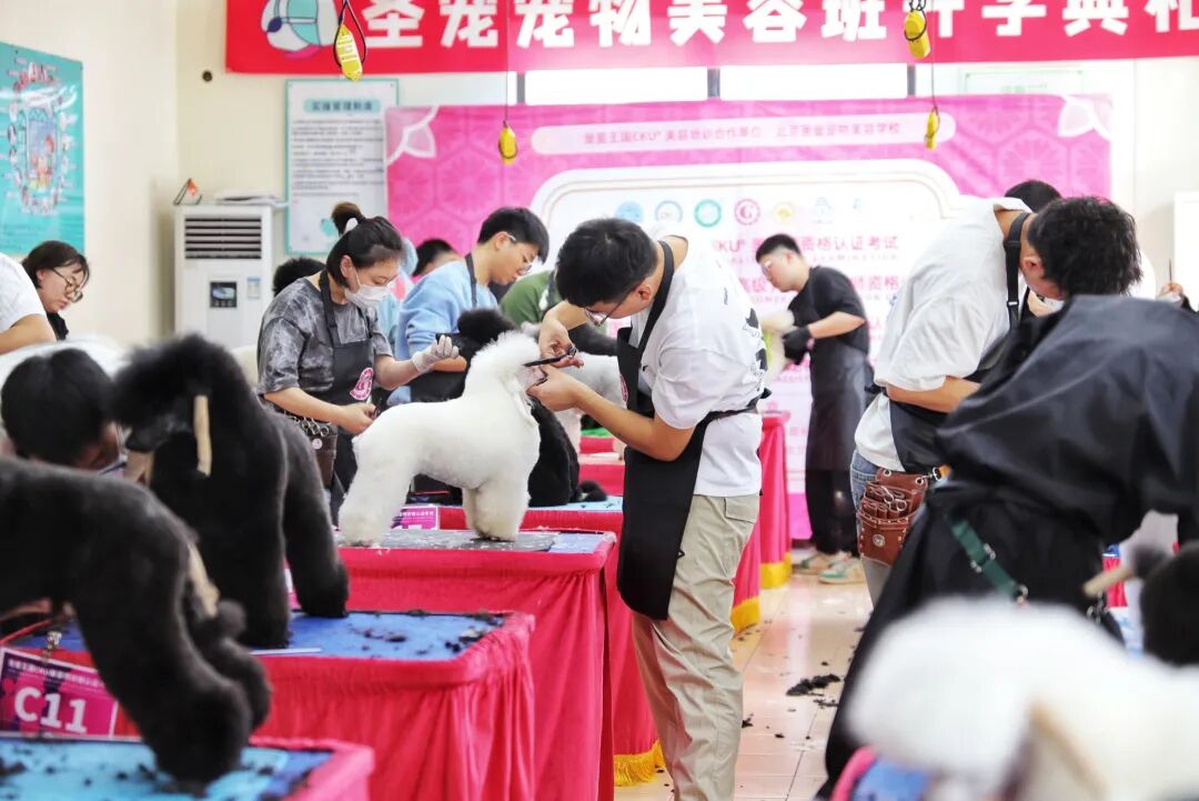 圣宠第二季名师大讲堂毕业学子
