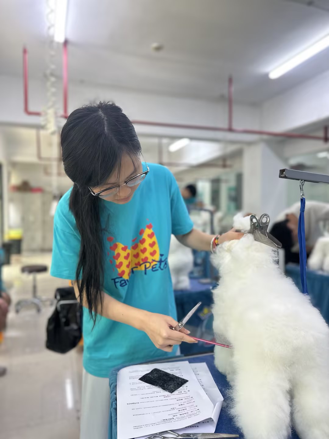 宠物美容行业的发展前景