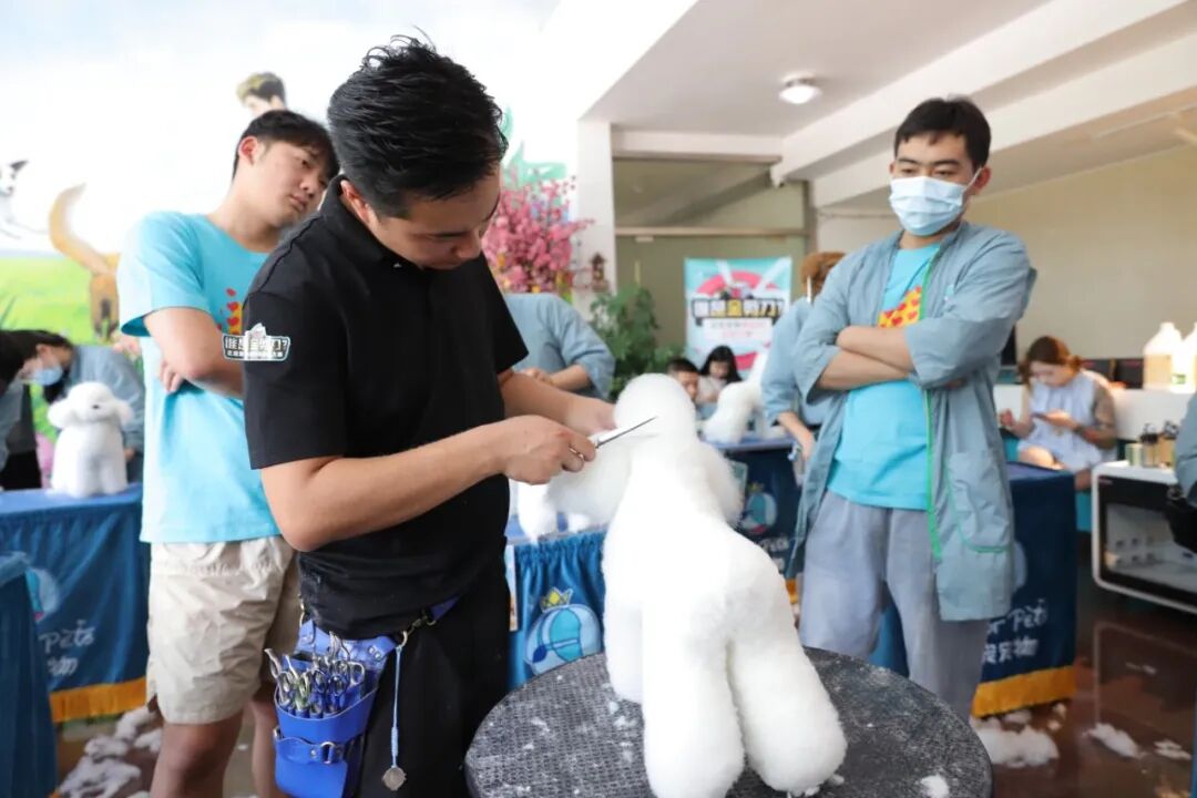 圣宠金剪刀大赛：获奖学员后来都去哪了