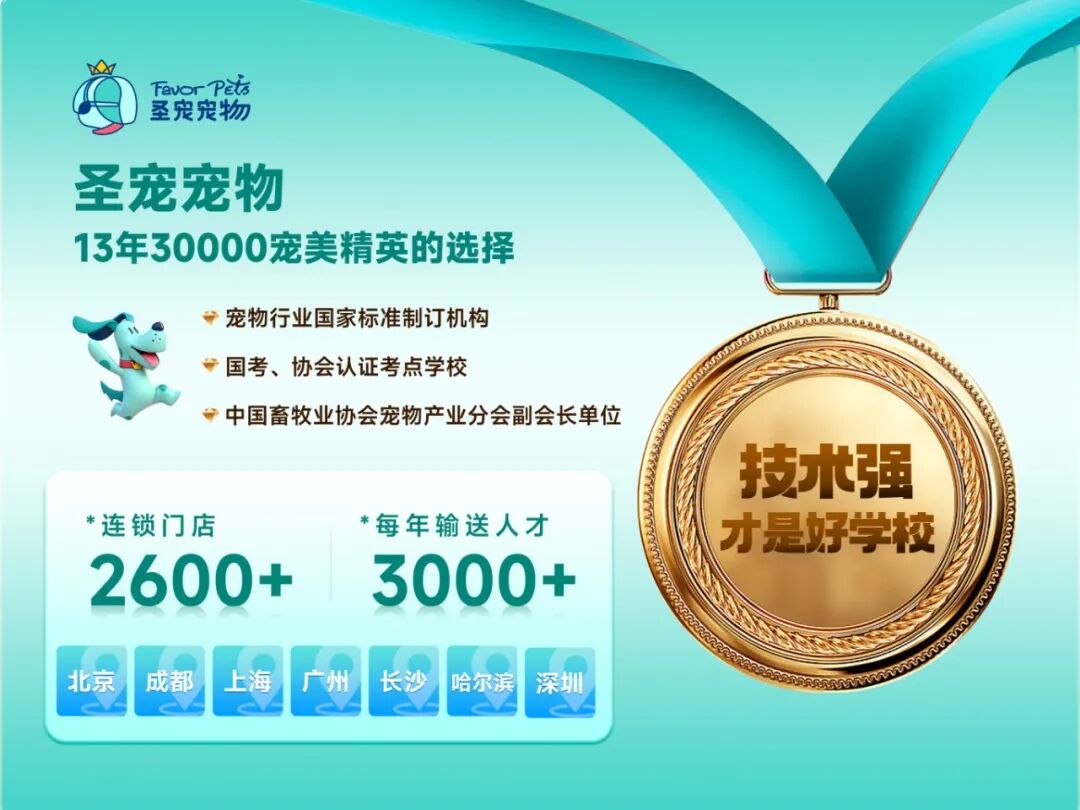 小白到精英，全类课程一站学齐、技能全get