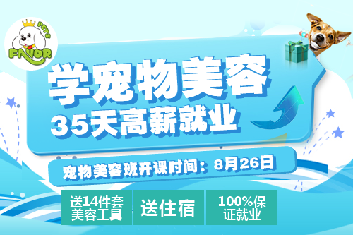 8月26日美容班报名中,提前预订优惠更多