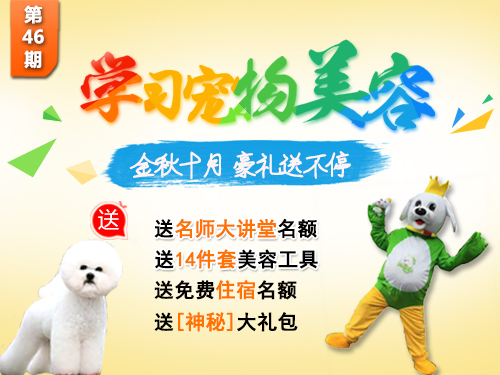 金秋十月，预订宠物美容课程享特惠！
