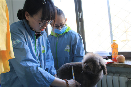 51期美容班综合美容实操课