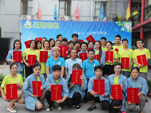 学宠物美容哪个学校好一点