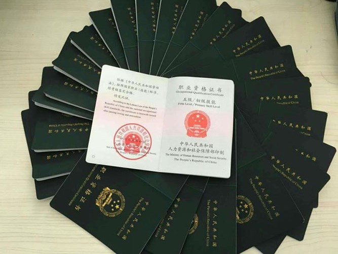 学习宠物美容有什么好地方,要怎么选择