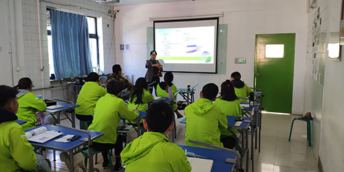 为什么学习宠物美容一定要去学校？