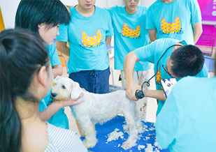 学员实操