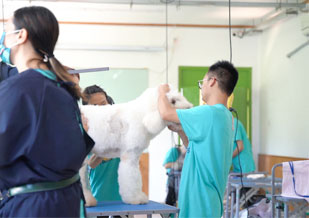 学员实操
